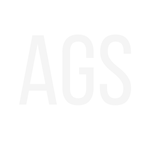 Real State AGS